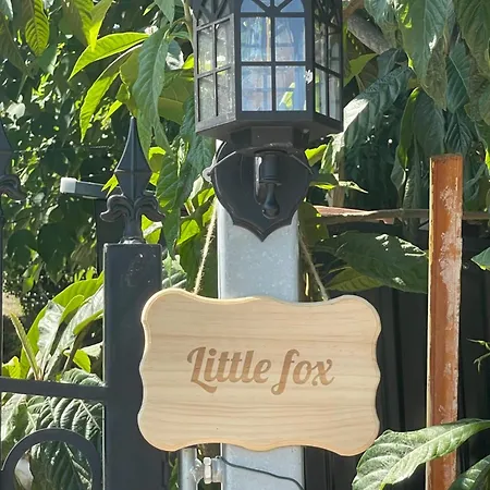 Little Fox